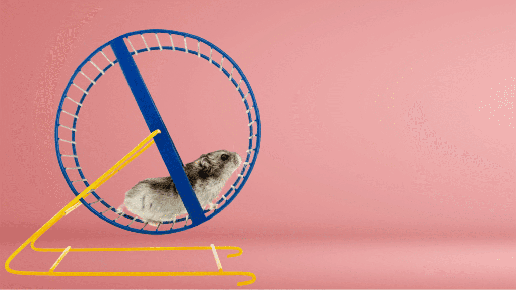 Picture of a hamster running in a hamster wheel, illustrating that triggering your team at your SMB to run and get working may not actually lead them closer to the desired destination.