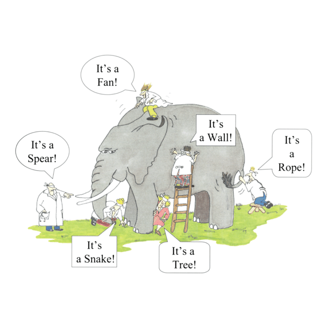 Seeing the Whole Elephant: Overcoming Perception Blindness in Your SMB’s Strategy