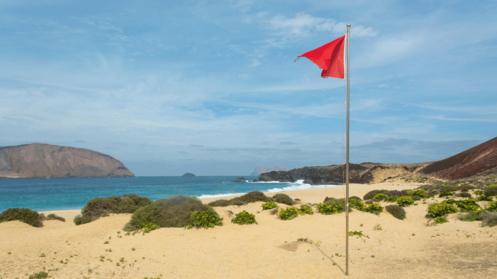 A flag set in the sand on a desolate beach showing the survivor paradox and the importance of setting a flag in the sand instead of getting stuck in analysis paralysis and not taking action.